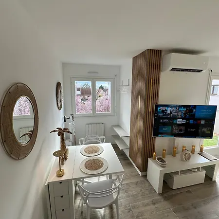 Apartman Marblemood Obernai